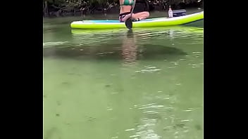 Yesterday i got to paddle beside this big girl for most of the river so fun hanging out with manatees