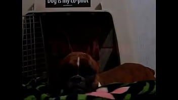 Nice chick with sexy ass