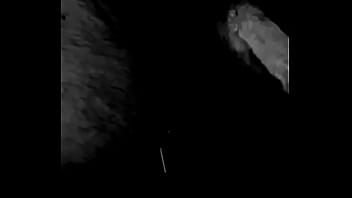 Schwingender schwanz