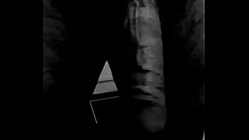 Schwingender schwanz