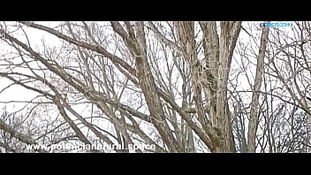 A loi marciely oliver do most a buceta e o cuzinho pelo whatsapp pa chamadas de video e fotos pelada chamar no 85 98932 9357 ou no 7528