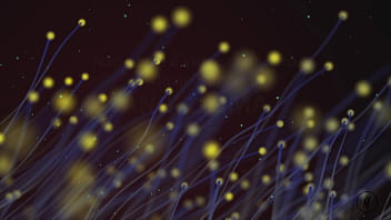 Tem mais angel lima no red famíilaaa