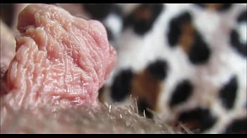 Pussy orgasm amateur