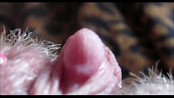 Pussy orgasm amateur