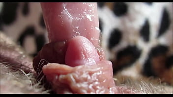 Pussy orgasm amateur