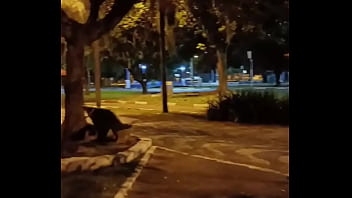 Público pode encuentrogay adoradorpaus divulga boys podetudo150 boysoficialbh divulgace18jua divulgaputosbr flagraboys