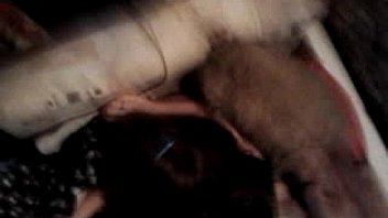 Video 2014 08 27 15 57 24 thumbnail