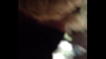 Nut busting for the usa