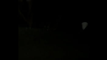 Trimf804408b Ffec 441e 8882 86dcbb3726damov thumbnail