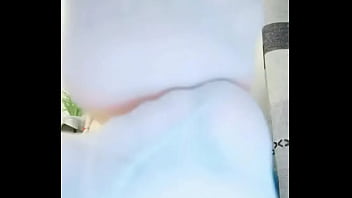 红绿灯猫神大人