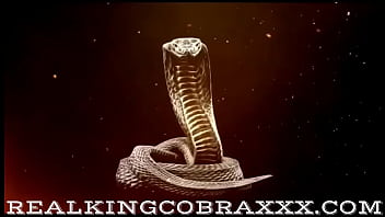 Welcome to the snowbunny pink infanity loves king cobra dick