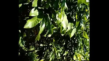 Jerking in the garden