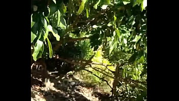 Jerking in the garden