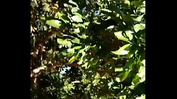 Jerking in the garden