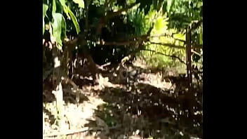 Jerking in the garden