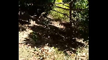 Jerking in the garden