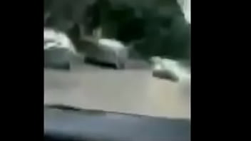 Meme en lo que consigo un video porno