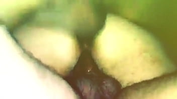 Buceta fogoza da minha esposa putona