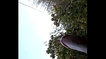 Wp 20140701 14 40 20 pro