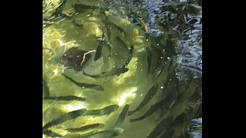 Yosolocon daniela Yosolocon daniela