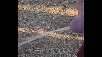 Morning piss in the homestead