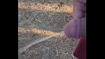 Morning piss in the homestead