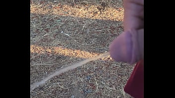 Morning piss in the homestead