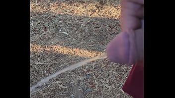 Morning piss in the homestead