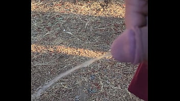 Morning piss in the homestead