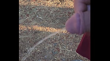 Morning piss in the homestead