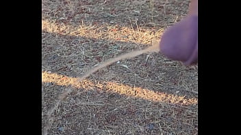 Morning Piss In The Homestead thumbnail