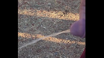 Morning piss in the homestead