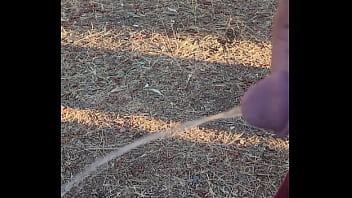 Morning piss in the homestead