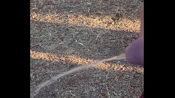 Morning piss in the homestead