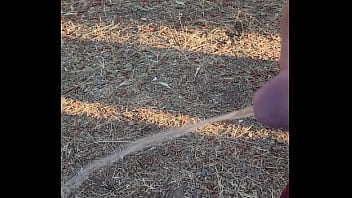 Morning Piss In The Homestead thumbnail