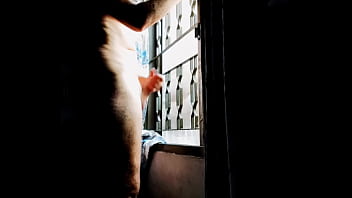 Nack Schwanz Raus thumbnail