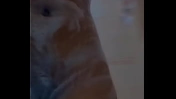 Sexy caribbean teen girl skyyy876 naked shower wet pussy and ass