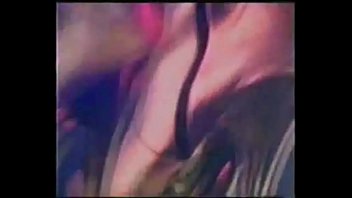 01 la zorra dj beto rodriguez strip to the bone palm pictures arcangels evoluthions