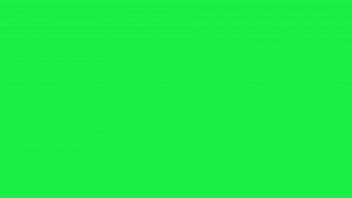 Зелёный экран