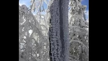 Deja vu by slimekrew memeber