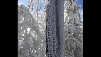 Deja vu by slimekrew memeber