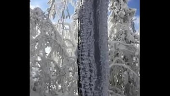 Deja vu by slimekrew memeber