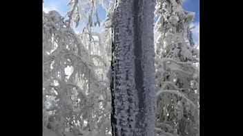 Deja vu by slimekrew memeber