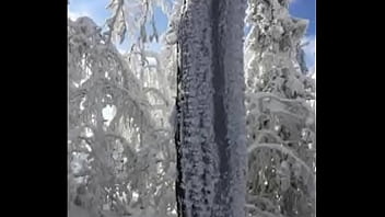 Deja vu by slimekrew memeber