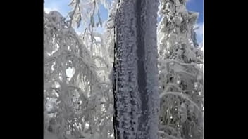 Deja vu by slimekrew memeber