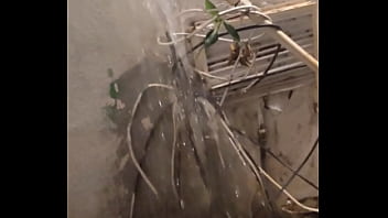 666 john 14 12 very truly i tell you whoever believes in me will do the works i have been doing and they will do even greater things than these because i am going to the father