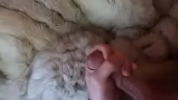 Teasing my dick in fur coat