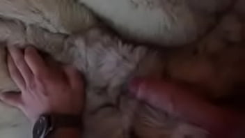 Teasing my dick in fur coat