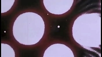 Retro erotic drawings