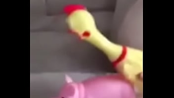 Cerdo Y Gallina thumbnail